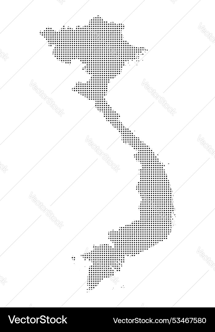 Vietnam map with checkered pattern vector image
