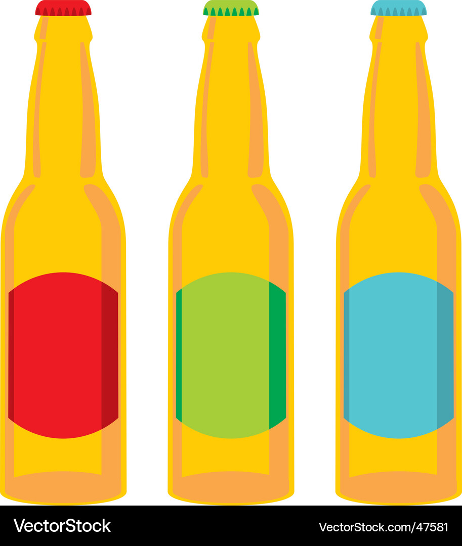 Beer Bottle Set with Labels Vector Image