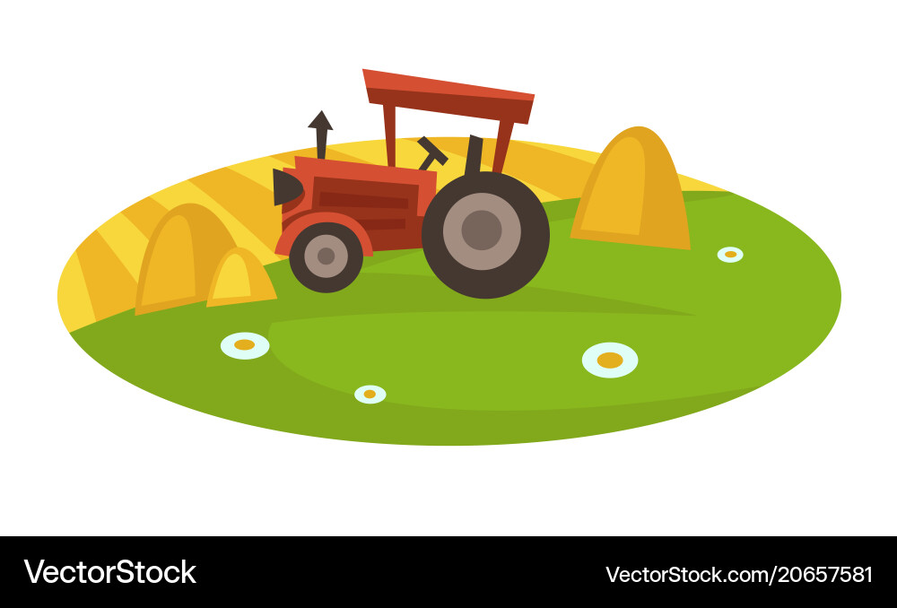 Tractor on field collects hay in neat stacks Tractor on field collects hay in neat stacks vector image