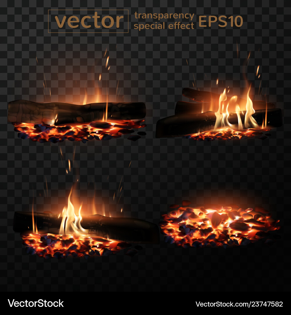 Burning Fire with Smoke and Flames vector image