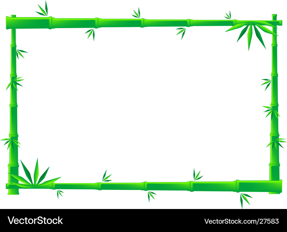 Green Bamboo Frame Vector Image