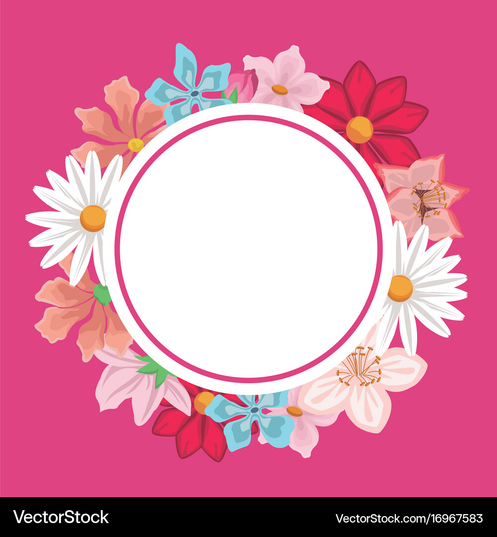 Pink background with decorative circular border – Royalty-Free Vector |  VectorStock, image size:1000x1080