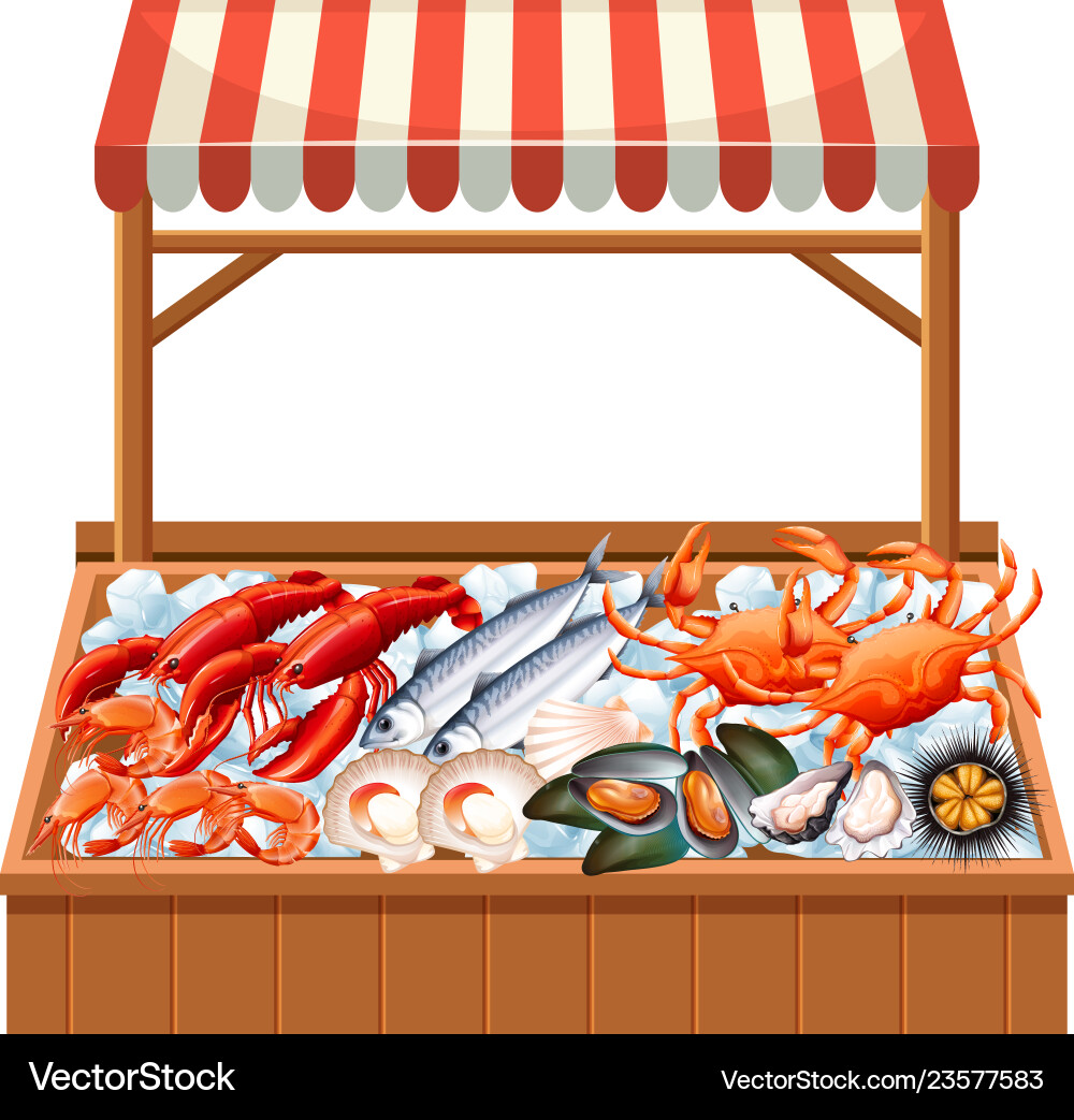 Seafood Stall with Shells and Fish Vector Image