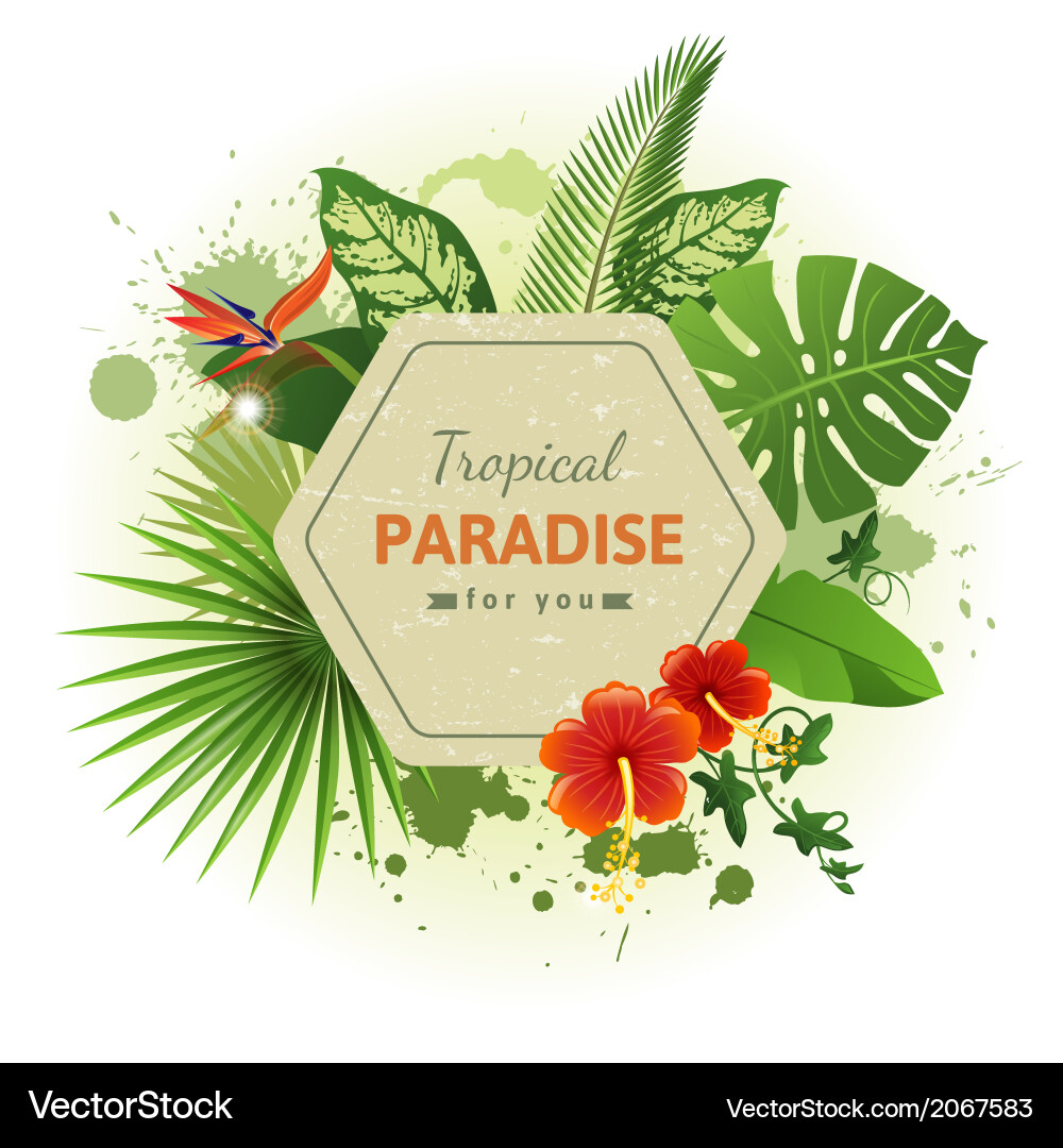 Tropical background Royalty Free Vector Image - VectorStock