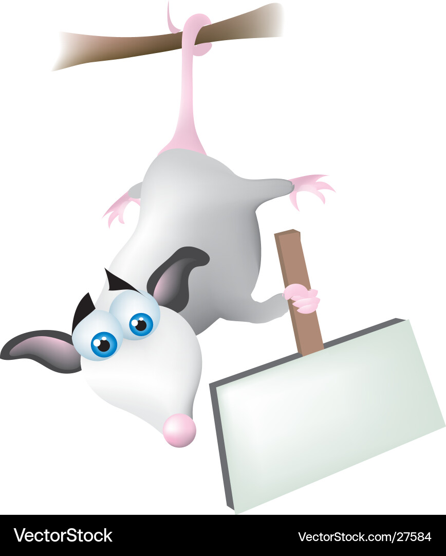 Opossum with a Message vector image
