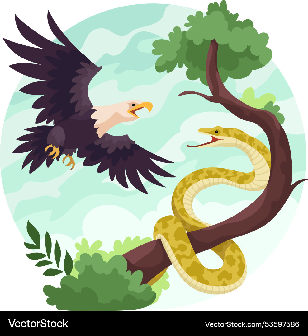 Eagle attacks snake flight predator hunting bird Eagle attacks snake flight predator hunting bird Vector Image