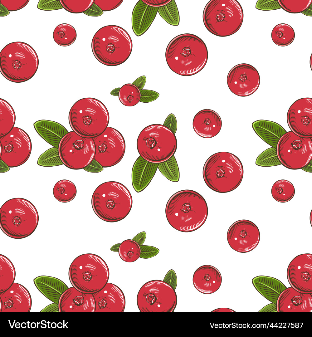 Colored seamless pattern with cranberries Colored seamless pattern with cranberries vector image