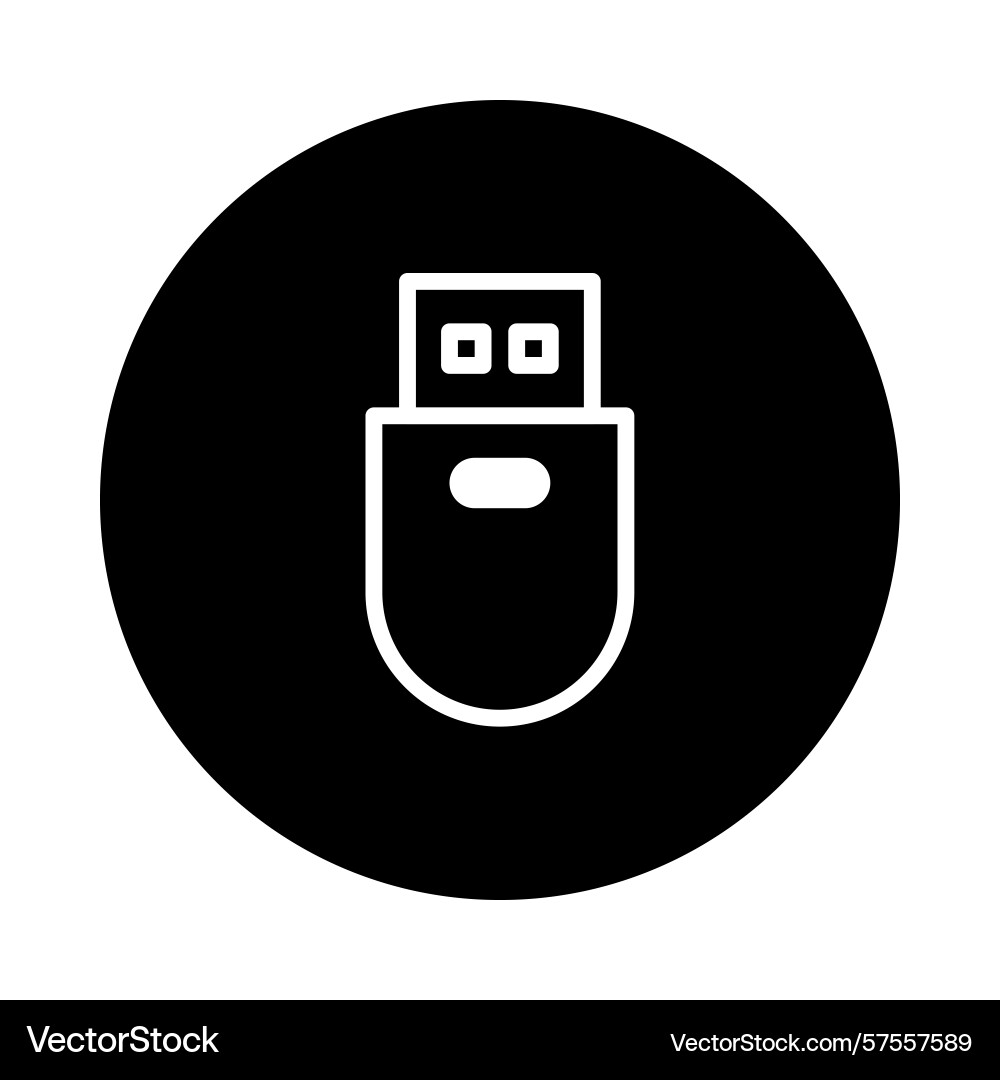 Minimalist usb drive icon within a circular frame Minimalist usb drive icon within a circular frame vector image