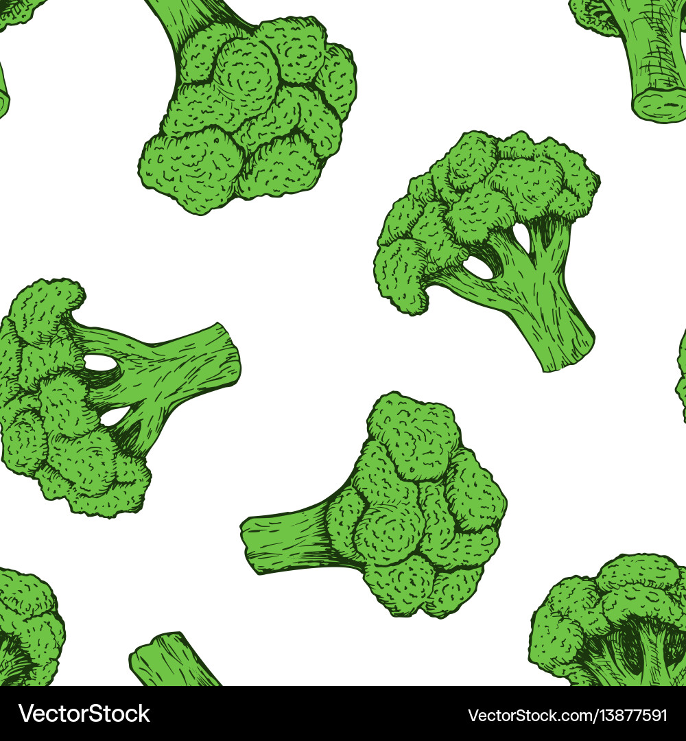Broccoli Pattern Background vector image