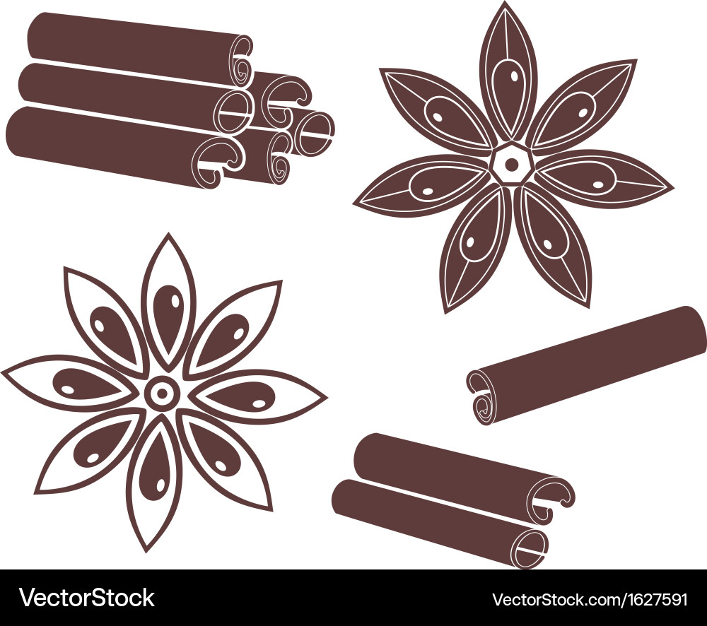 Cinnamon Royalty Free Vector Image - VectorStock