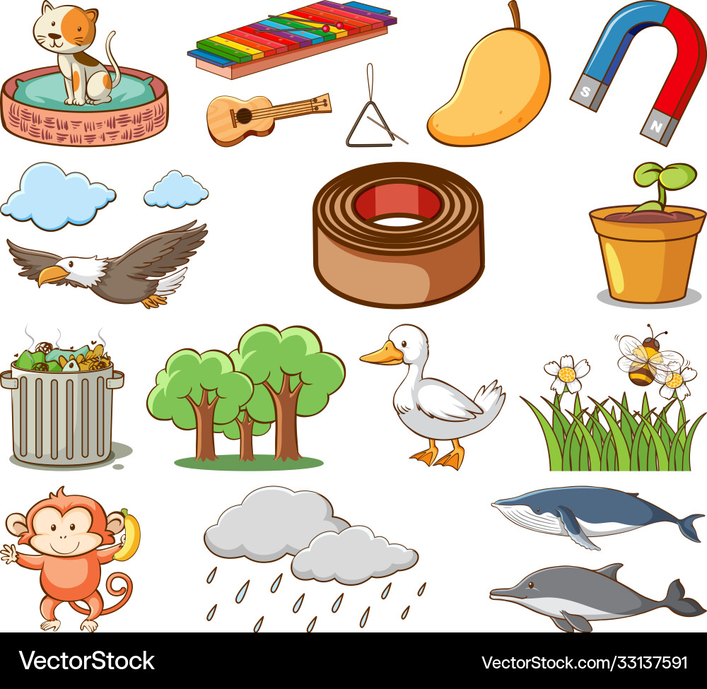 Large set different animals and other objects Large set different animals and other objects vector image