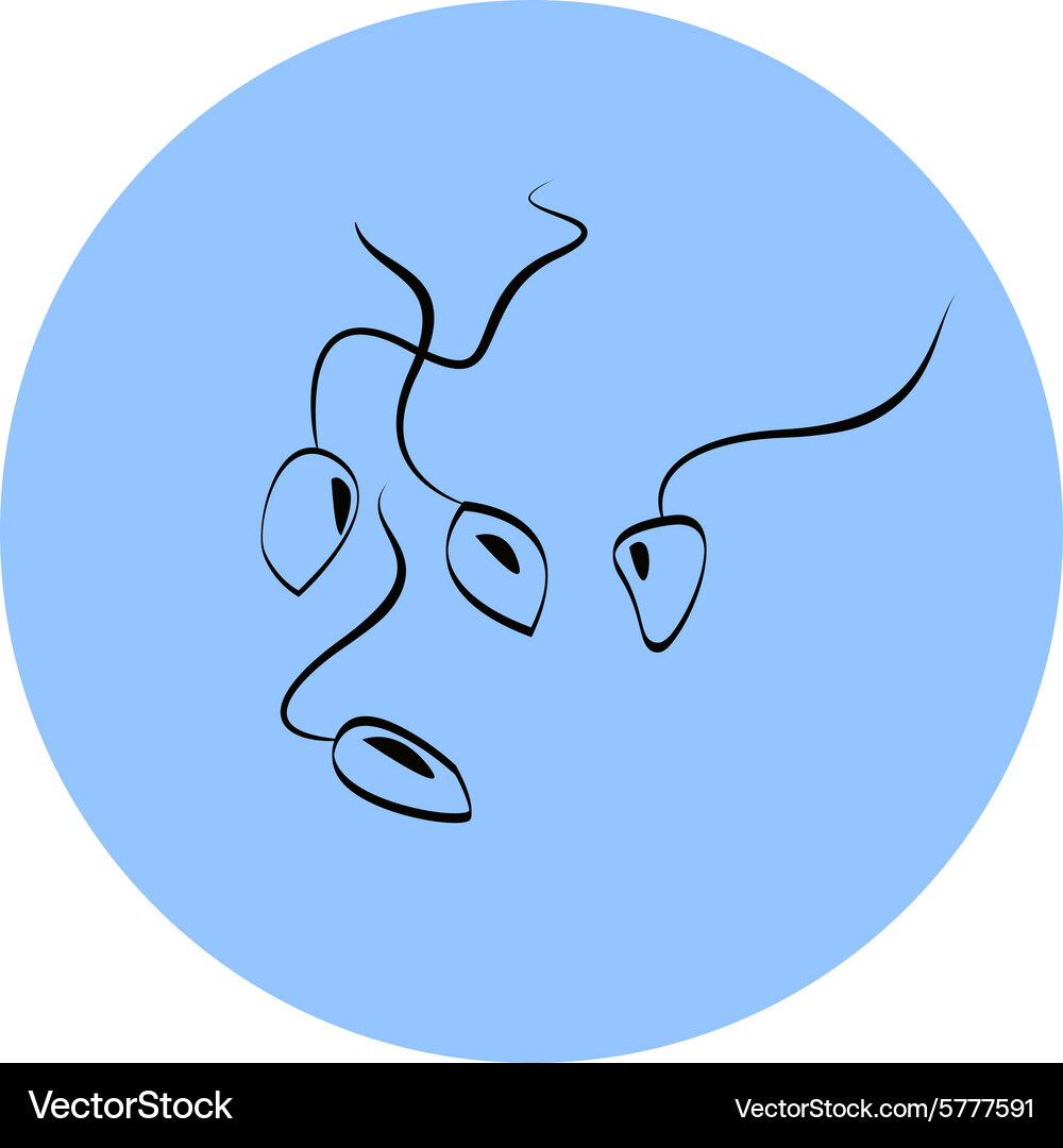 Sperm flat icon for mobile and web applications Vector Image