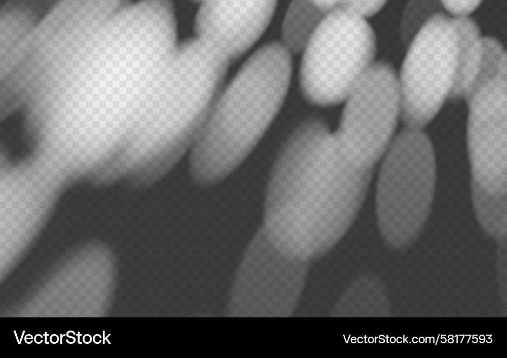 Dappled Shadow Leaf Pattern Vector Image