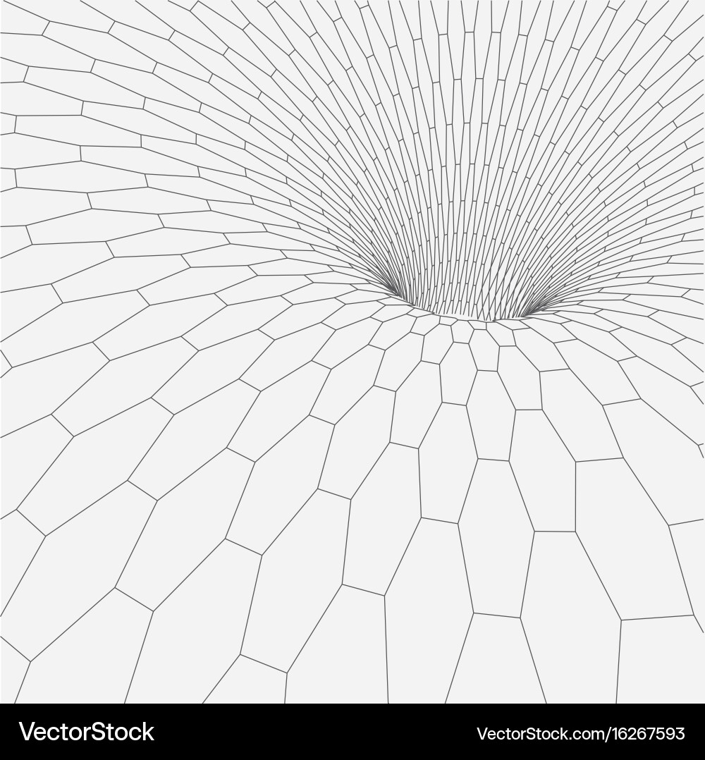 Wireframe Torus Mesh vector image