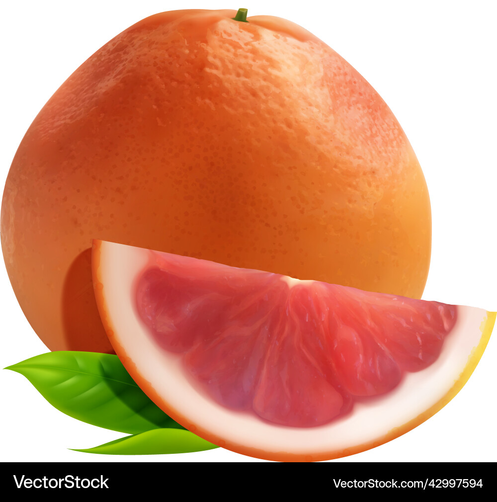 Grapefruit realistic citrus composition Vector Image