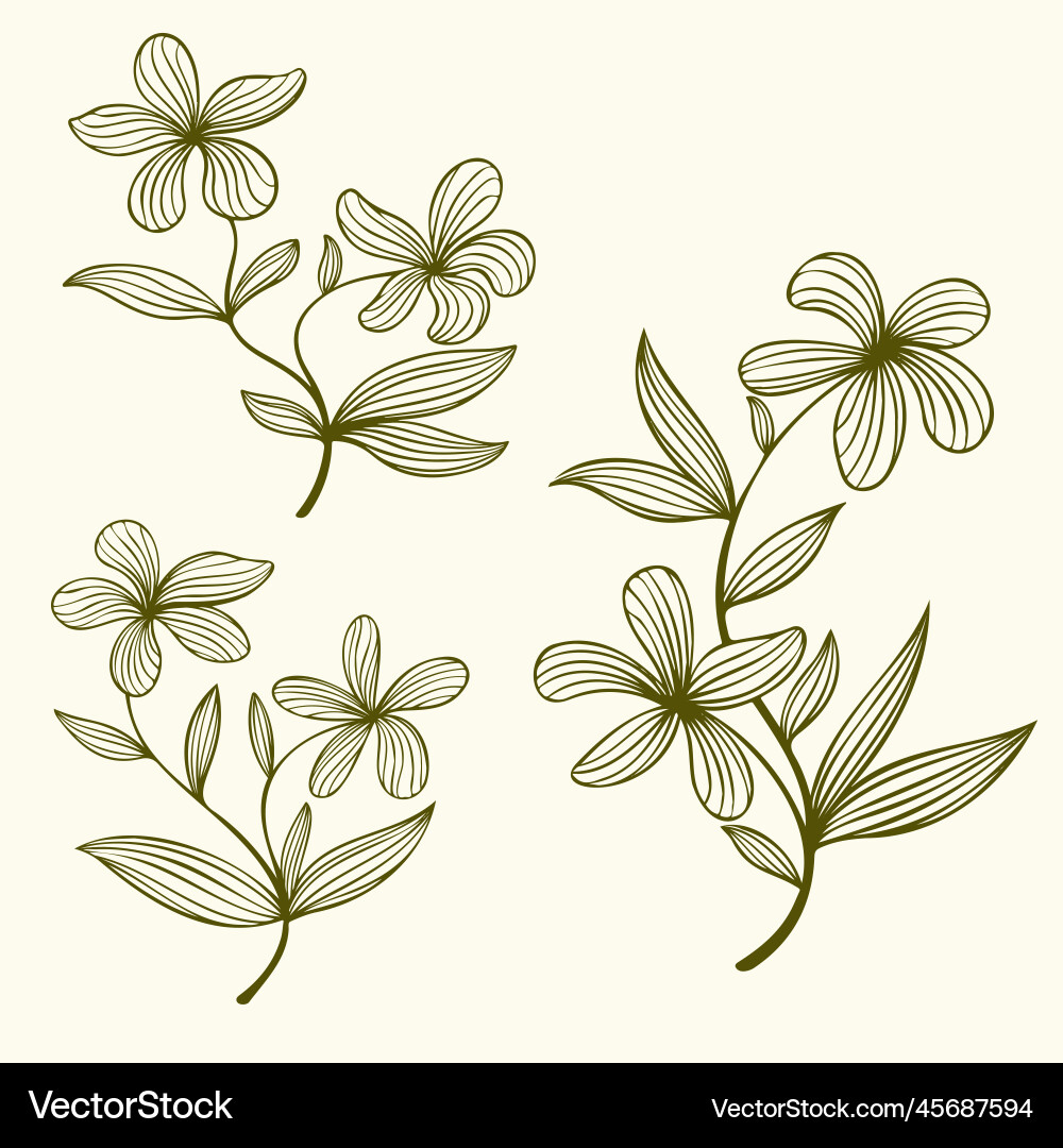 Floral Outline Collection Floral Outline Collection