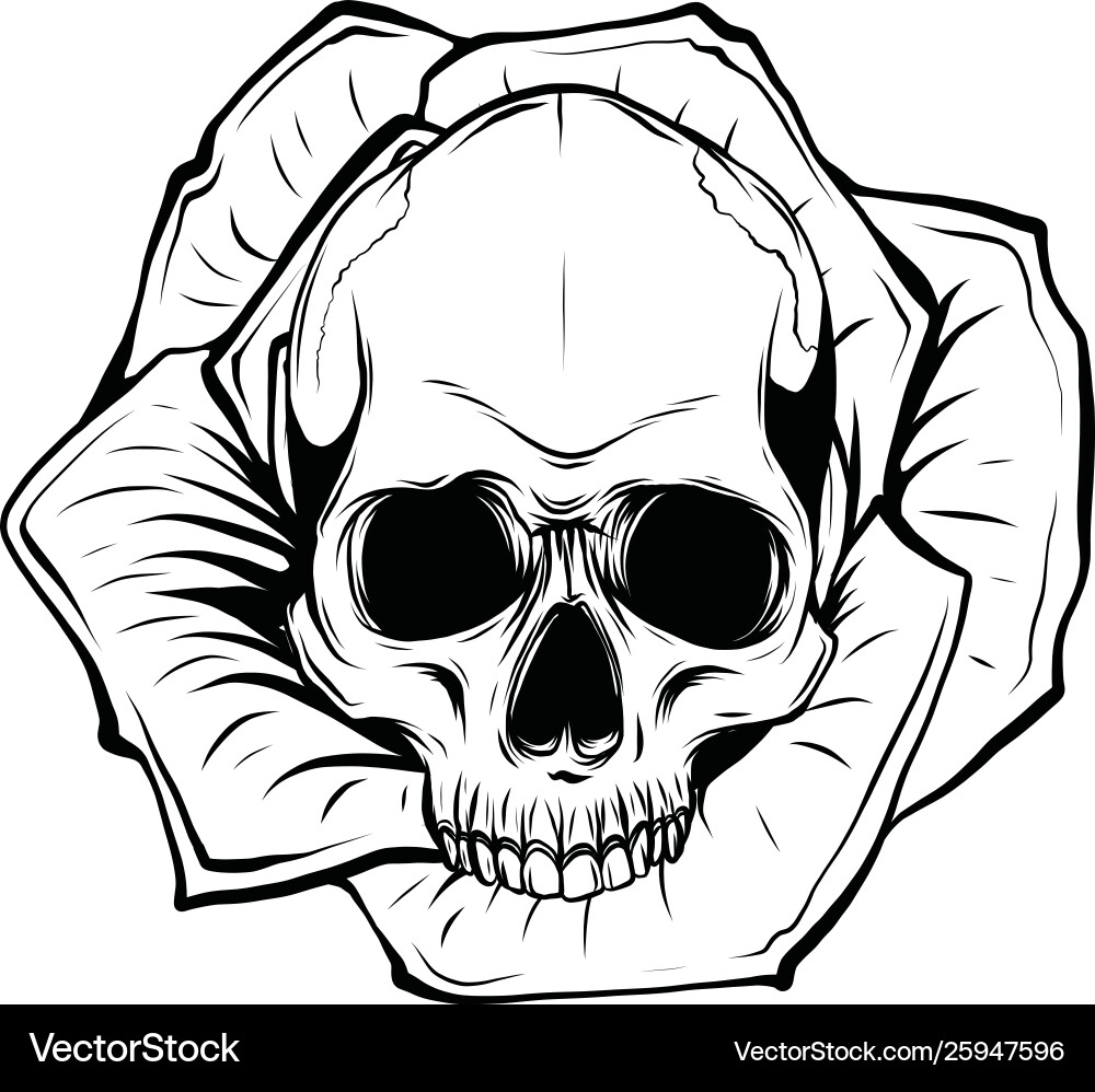 Skull with Roses - Gothic Floral Print Vector Image