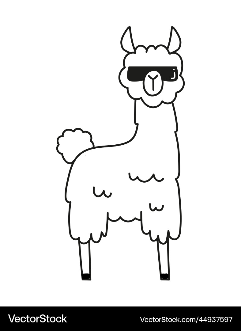 Doodle style lama vector image