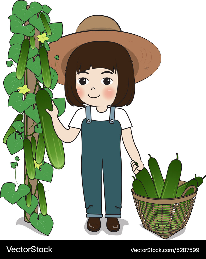 Planter and cucumber Vector Image