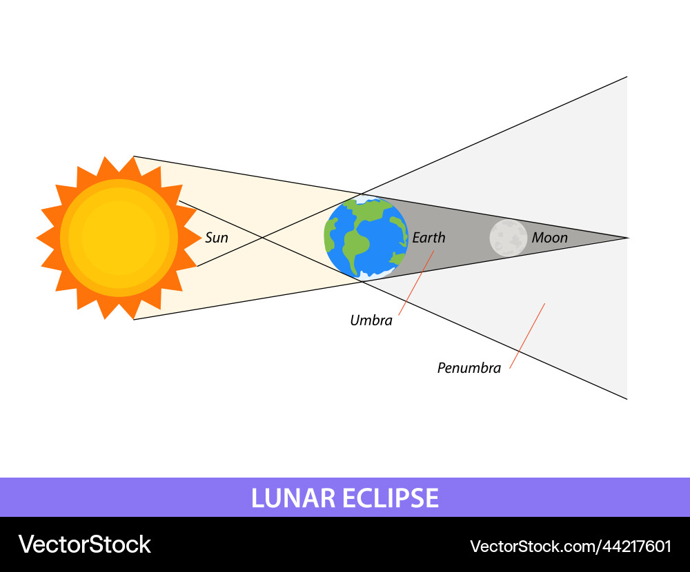 Diagram showing lunar eclipse on earth vector image