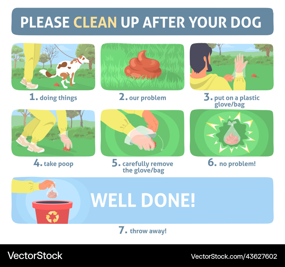 Clean up dog poop infographic set vector image