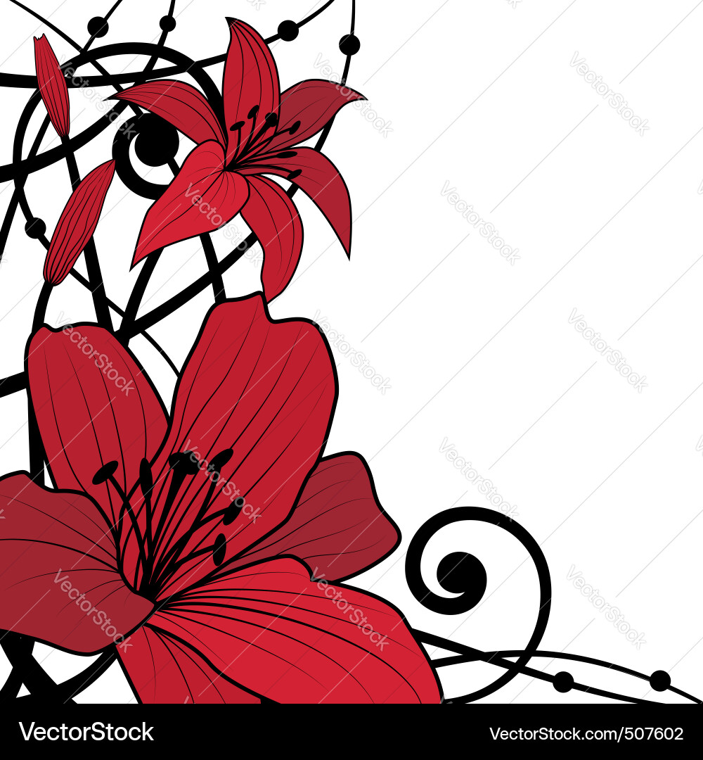 Lily red background Vector Image