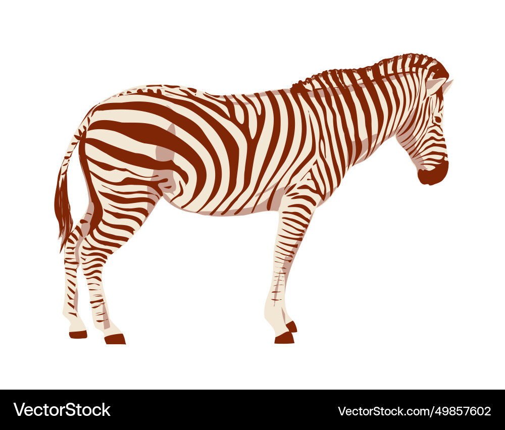 Plains zebra side view isolated background wpa art