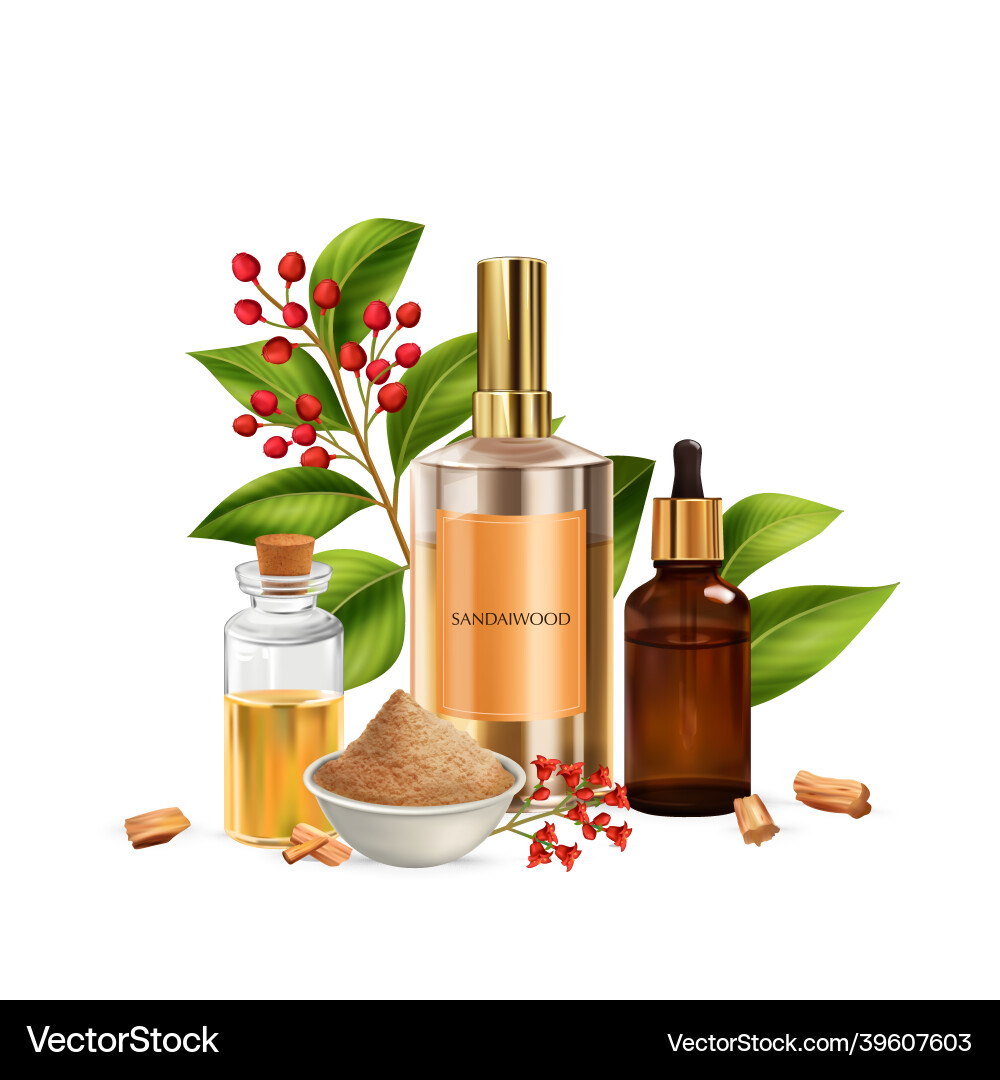 Sandalwood products realistic composition Sandalwood products realistic composition vector image