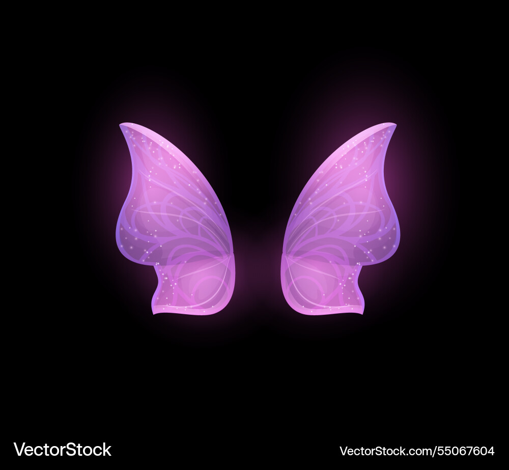 Fairy butterfly wings cartoon pair Fairy butterfly wings cartoon pair vector image