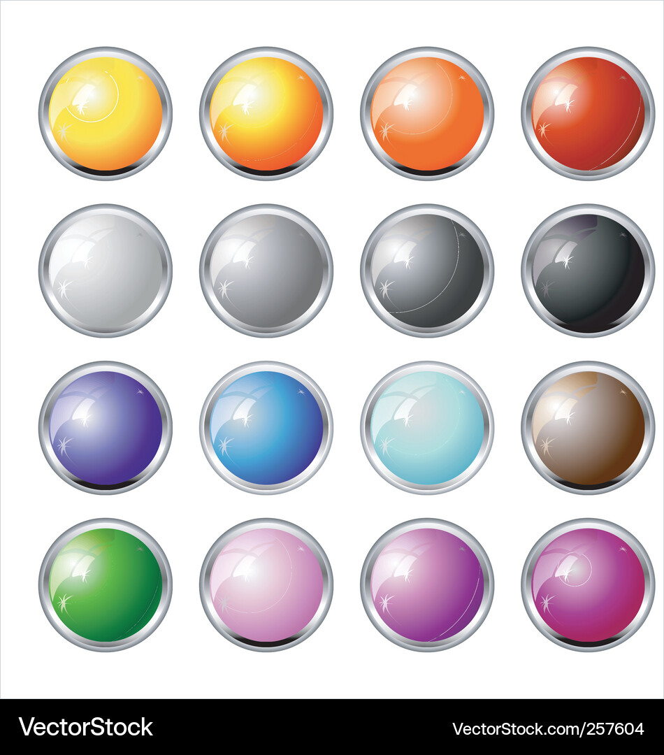 Glossy Chrome Buttons Vector Image