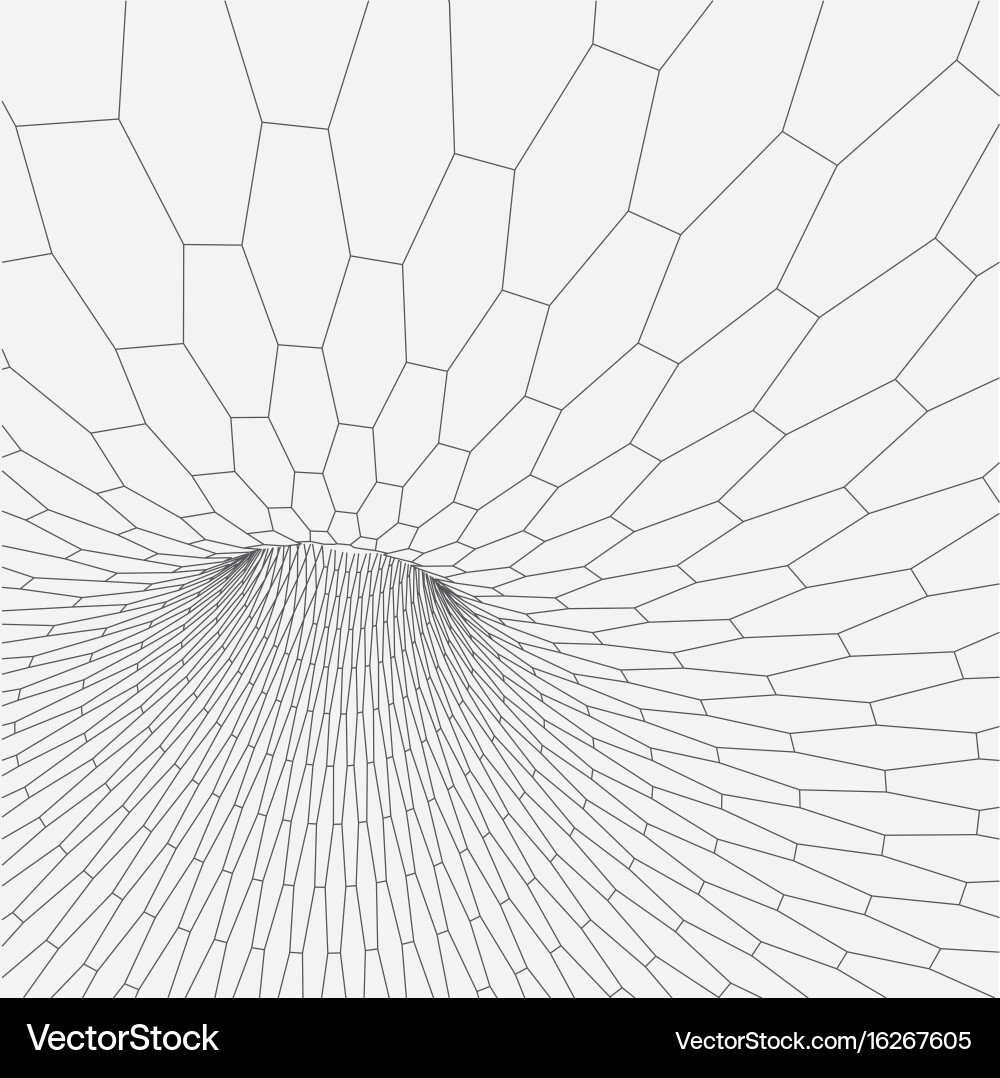 Wireframe torus with connected lines and dots Vector Image