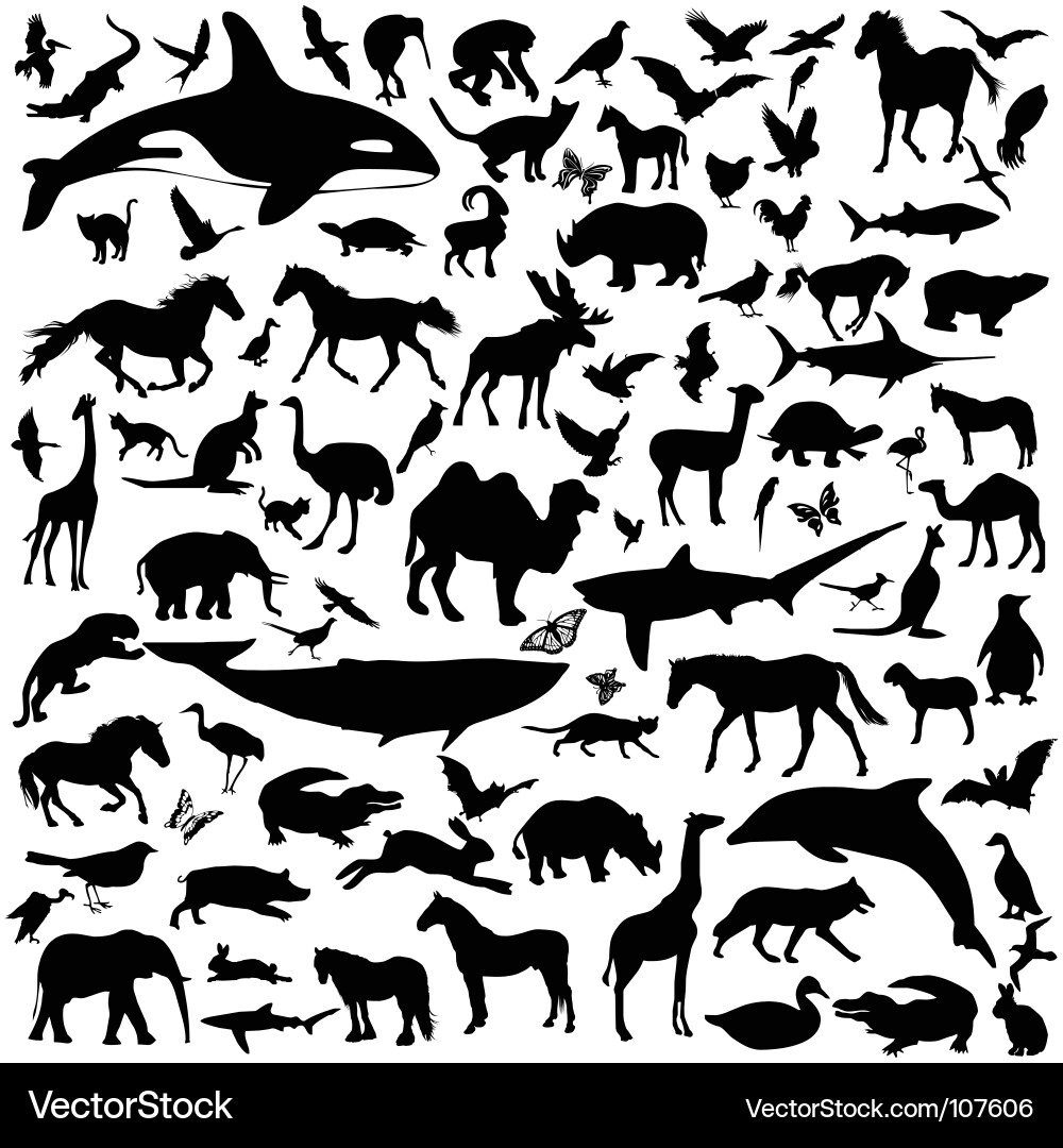 Animal Silhouettes vector image