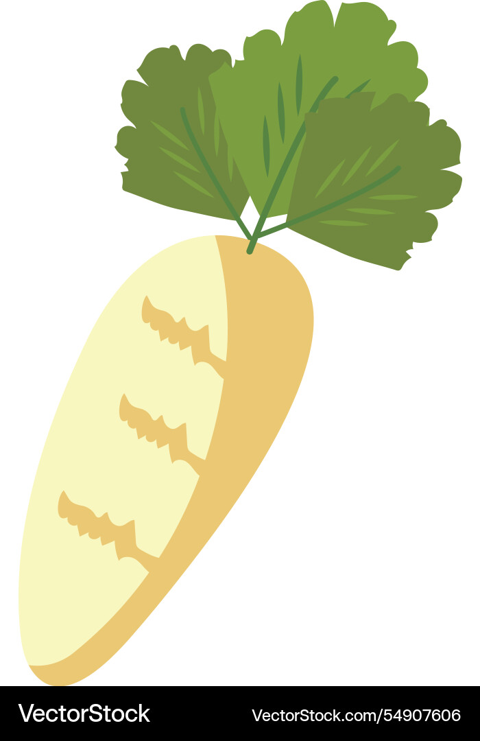 Parsnip vegetable icon Vector Image