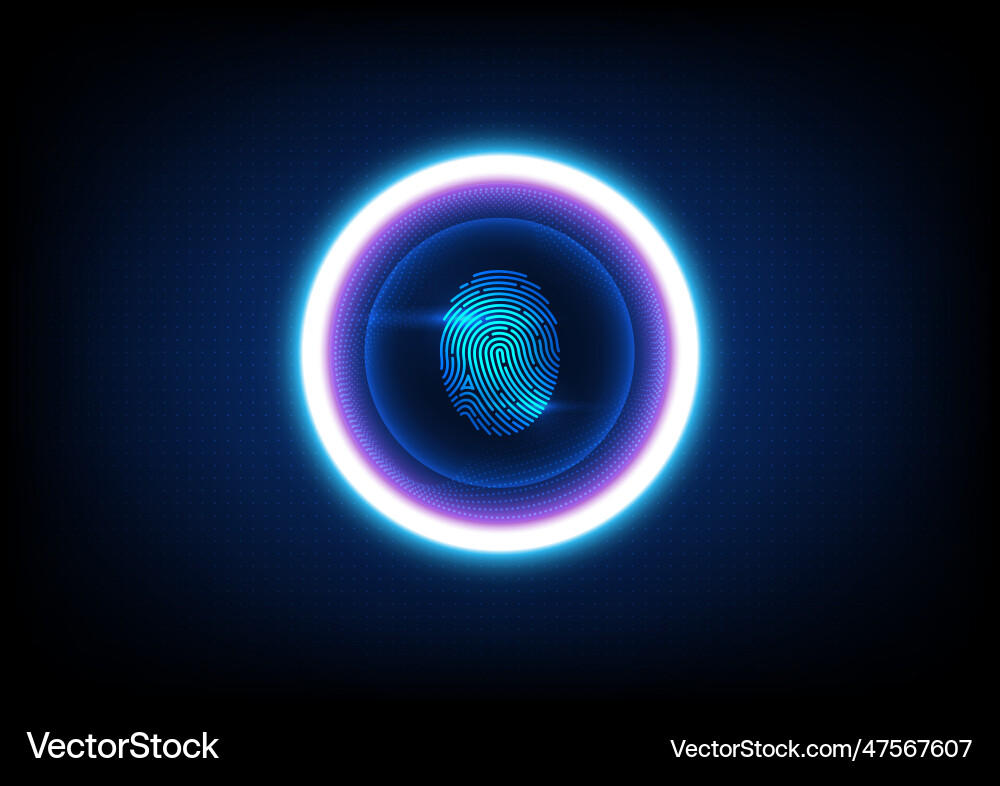 Digital Data Circuit Background vector image