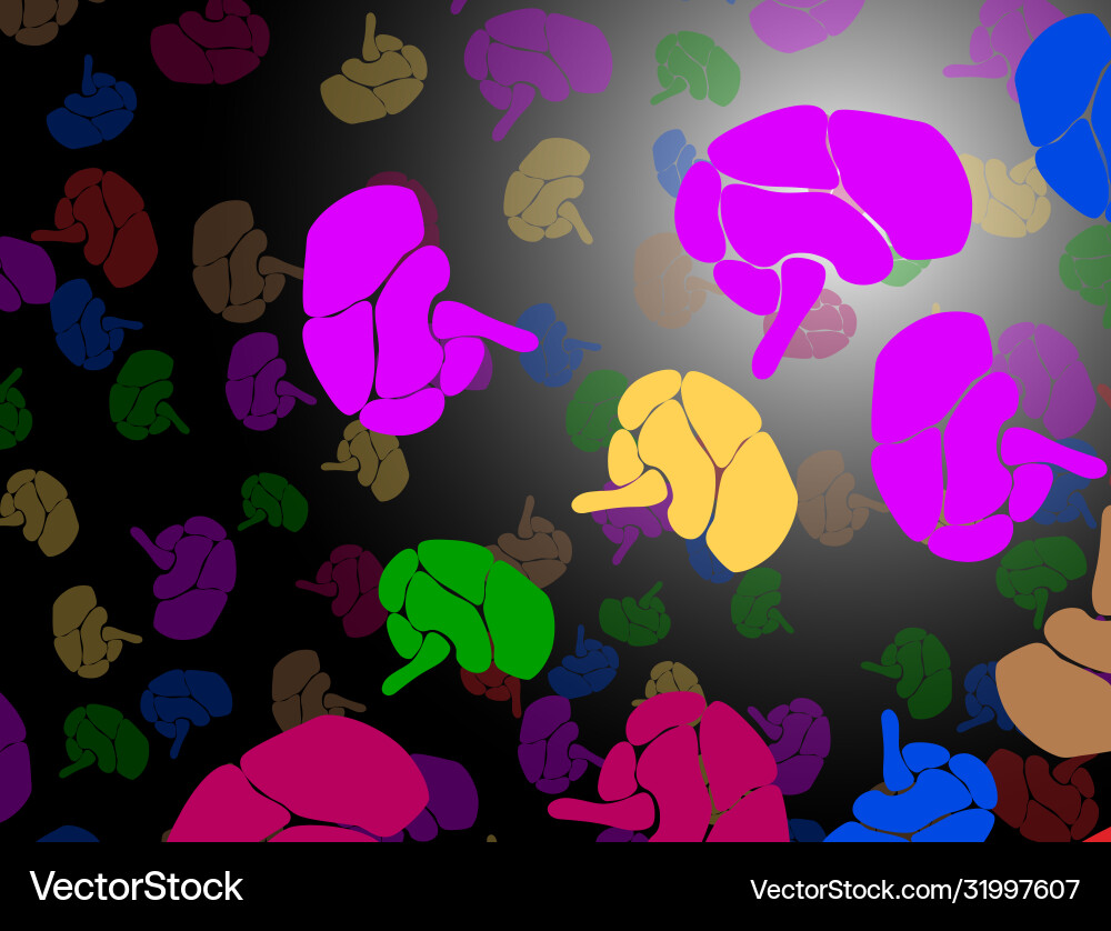 Left and right brain functions cerebral function Left and right brain functions cerebral function vector image