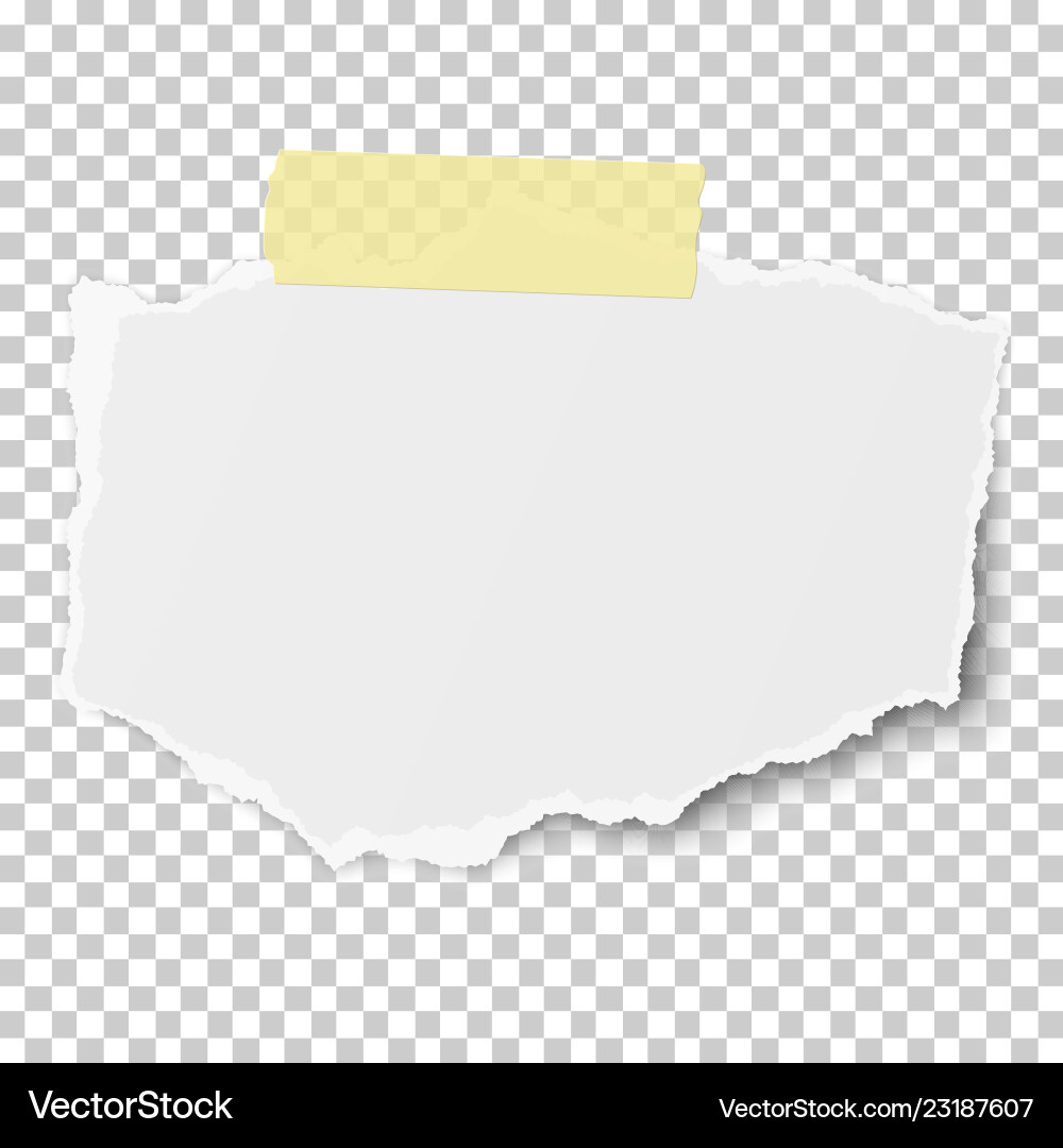 Torn Paper Scrap with Tape vector image