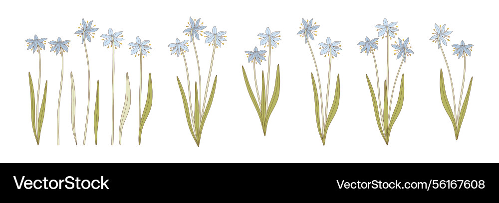 Bright set of wildflower snowdrop bouquets Vector Image