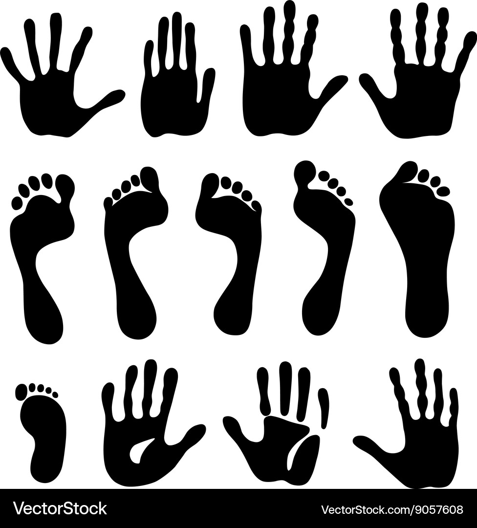 Hand and Footprints - Collection Vector Image