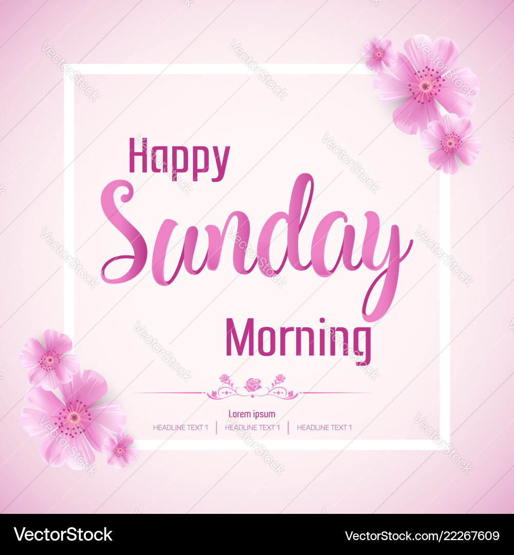 Beautiful happy sunday morning background vector image