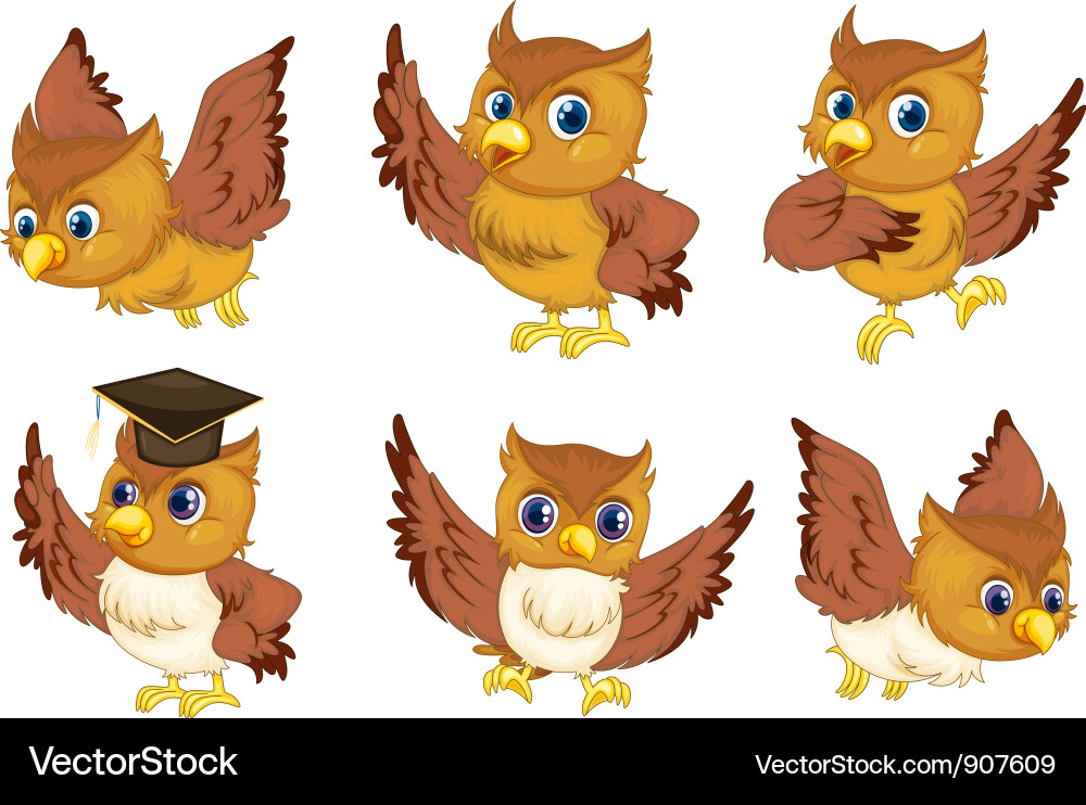 Cute owls Royalty Free Vector Image - VectorStock