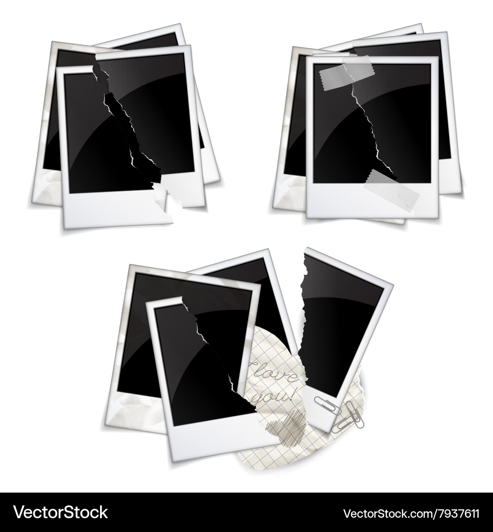 Collection of Empty Photo Frames vector image