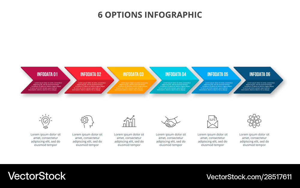 Number Options & Workflow Template vector image