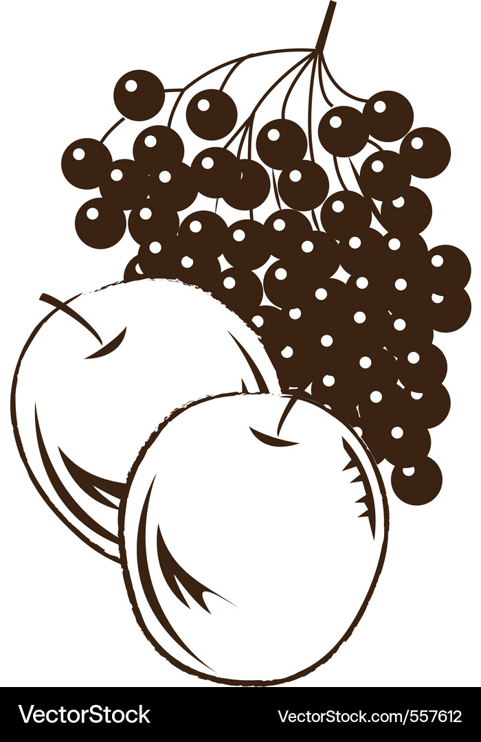 Apple and grape Vector Image