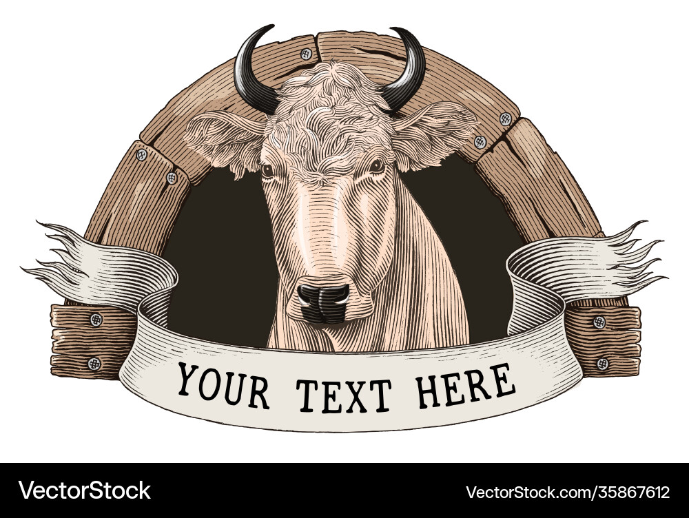 Cow farm logo hand draw vintage engraving style vector image