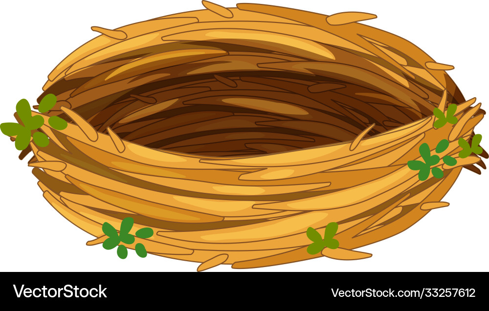 Isolated Empty Bird Nest vector image