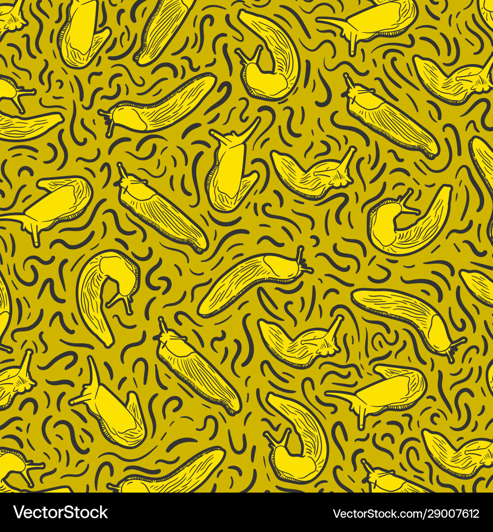 Slug pattern vector image