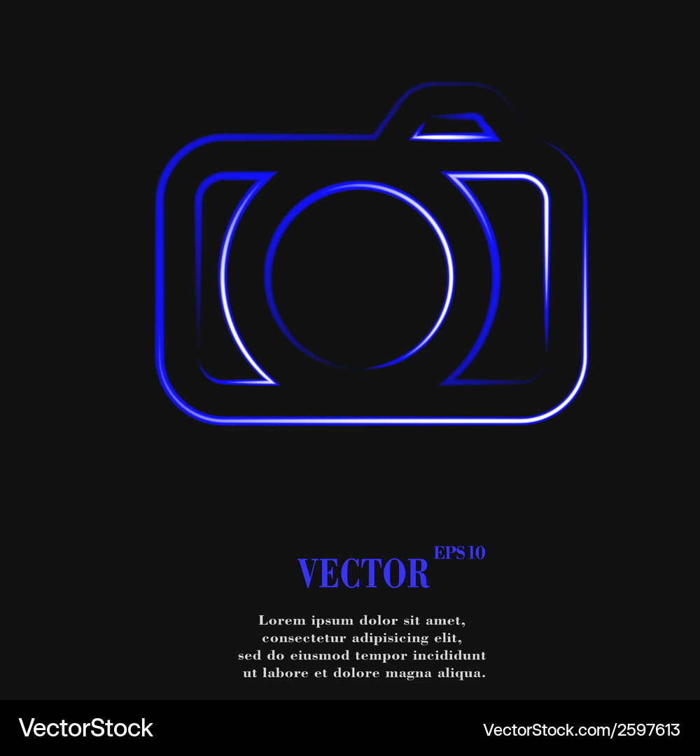 Camera flat modern web button and space for your Vector Image