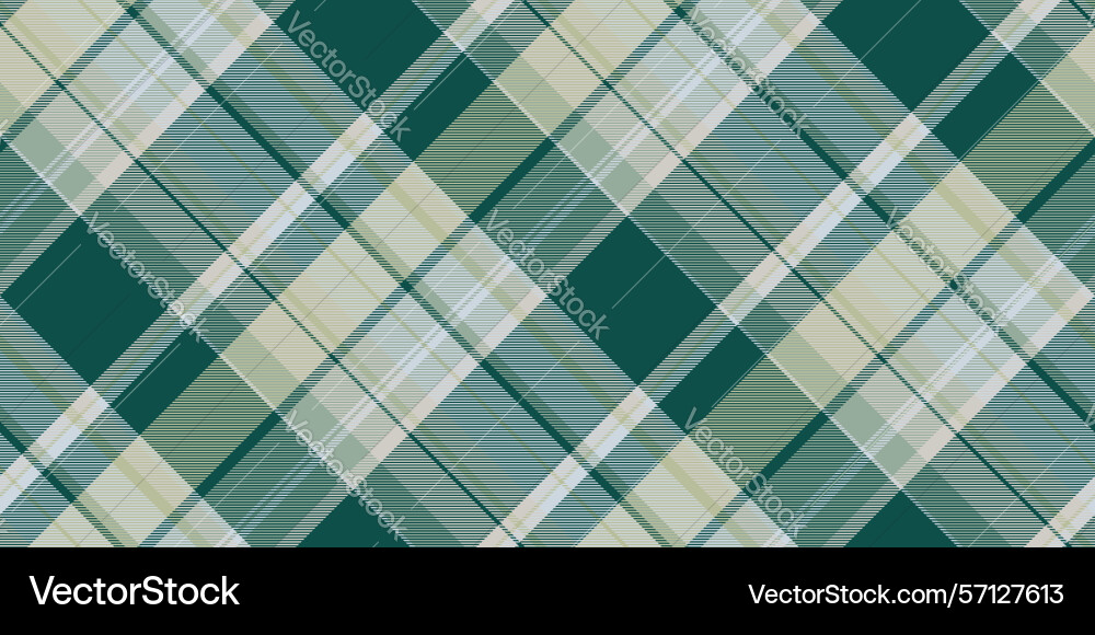 Classic plaid pattern with intersecting lines Classic plaid pattern with intersecting lines vector image
