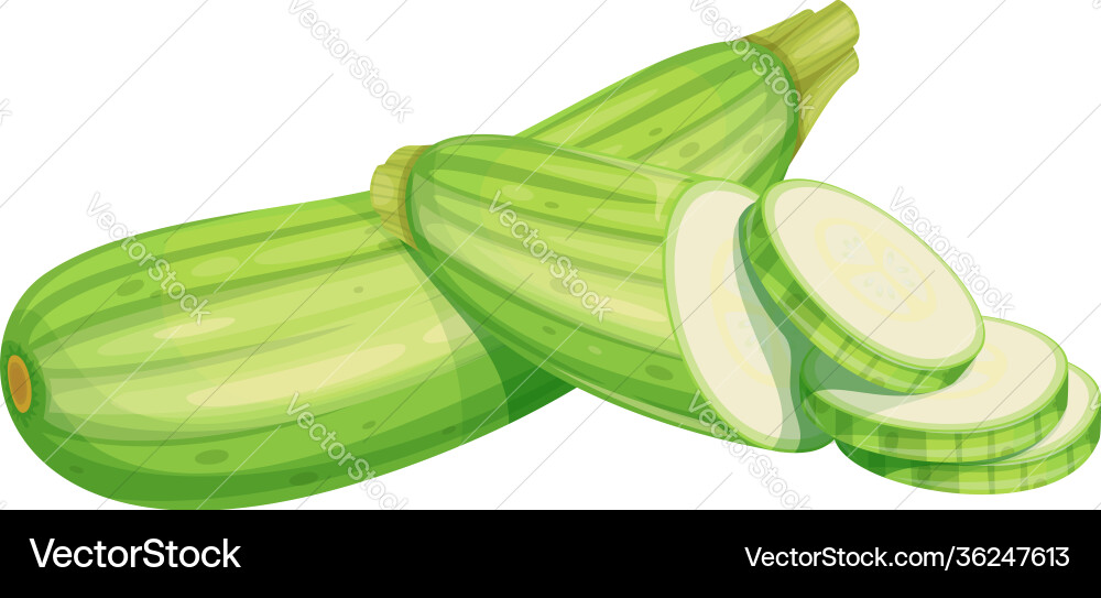 Healthy Squash Vegetable Icon Vector Image
