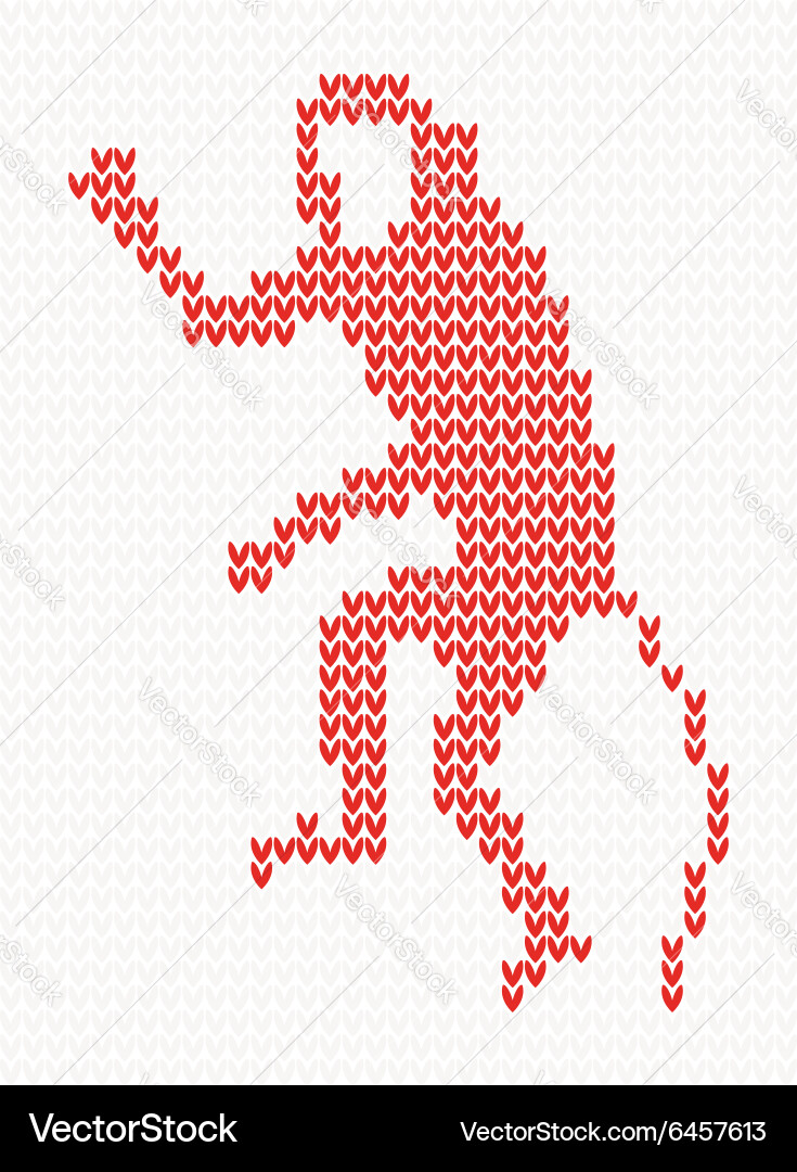 Knitted pattern with monkey vector image